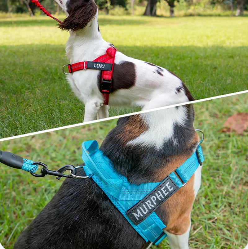 No-Pull Dog Harness with Personalised Name Patch