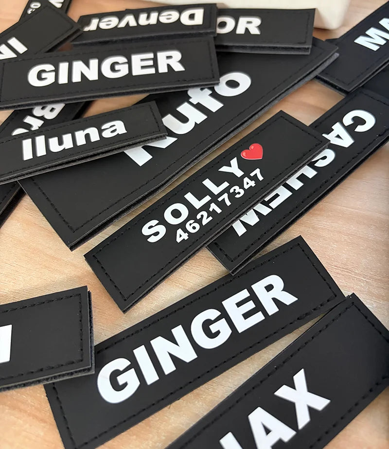 No-Pull Dog Harness with Personalised Name Patch